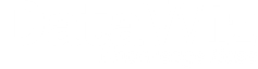 DataWiz